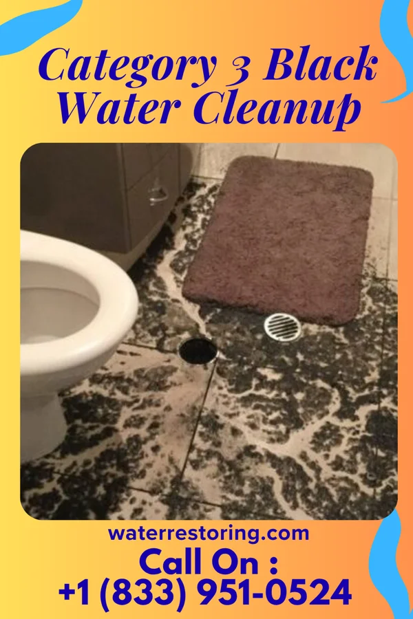 Category 3 Black Water Cleanup in Pinehurst, NC
